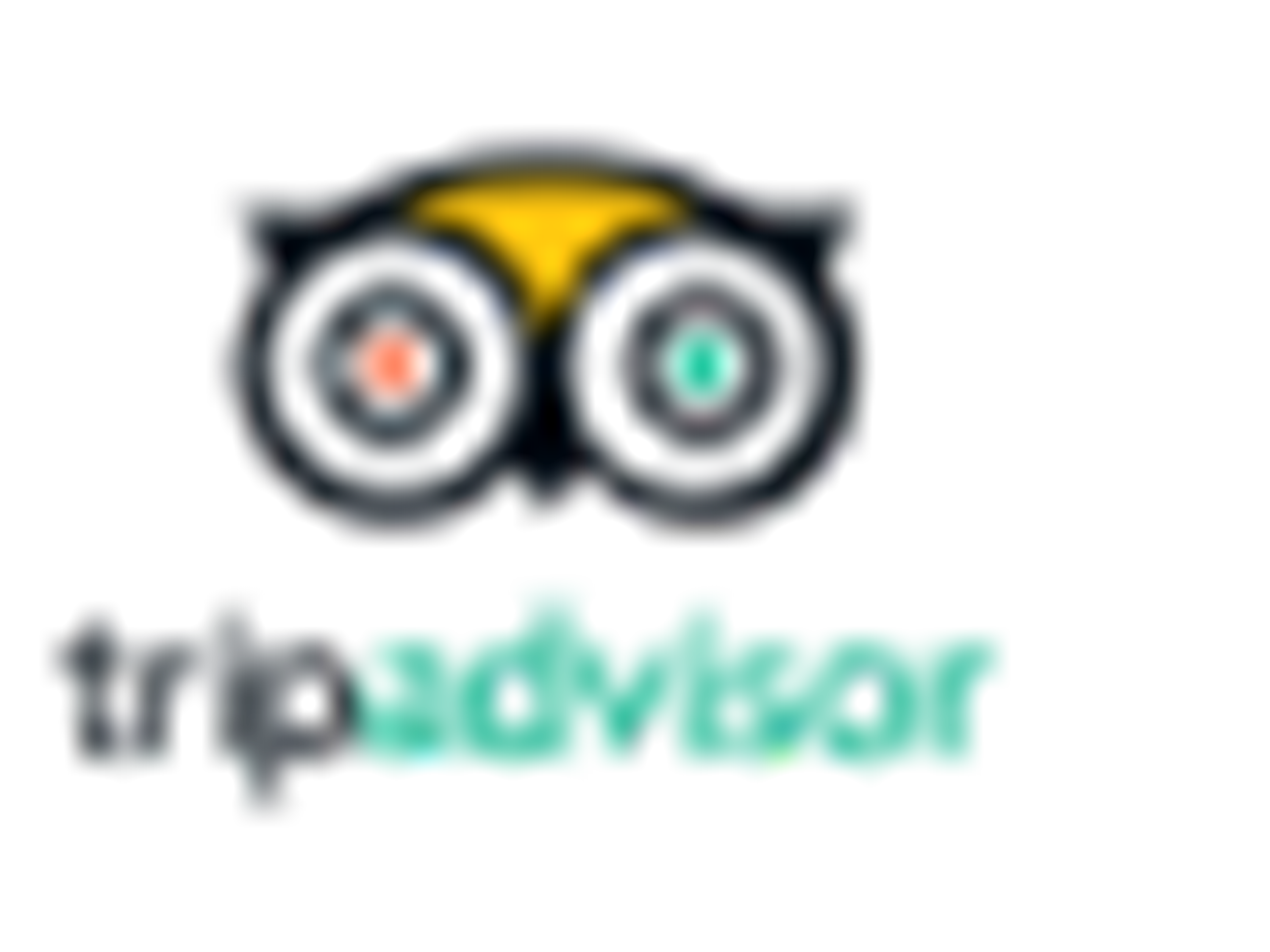 Trip Advisor